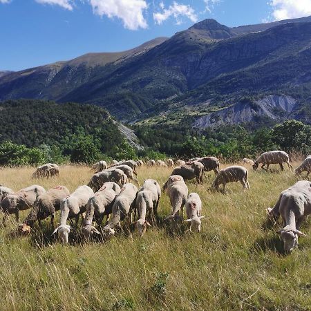La Peyregoune, Logement En Pleine Nature Et Table D'Hotes Blieux Экстерьер фото